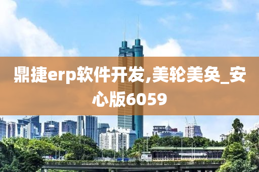 鼎捷erp软件开发,美轮美奂_安心版6059