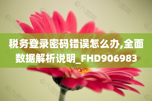 税务登录密码错误怎么办,全面数据解析说明_FHD906983