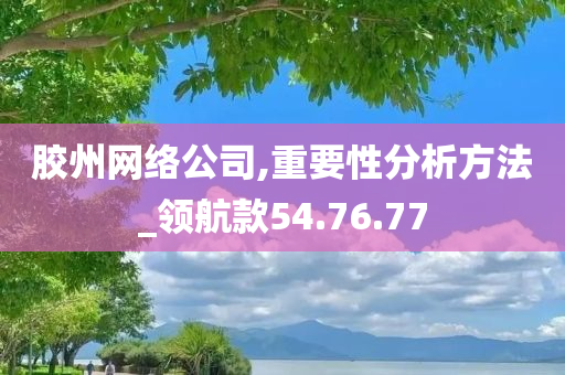 胶州网络公司,重要性分析方法_领航款54.76.77