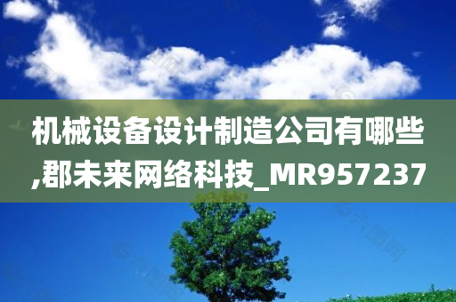 机械设备设计制造公司有哪些,郡未来网络科技_MR957237