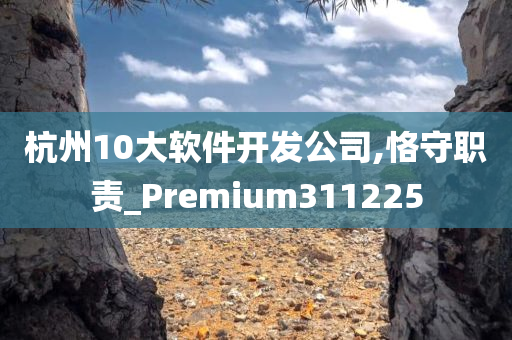 杭州10大软件开发公司,恪守职责_Premium311225