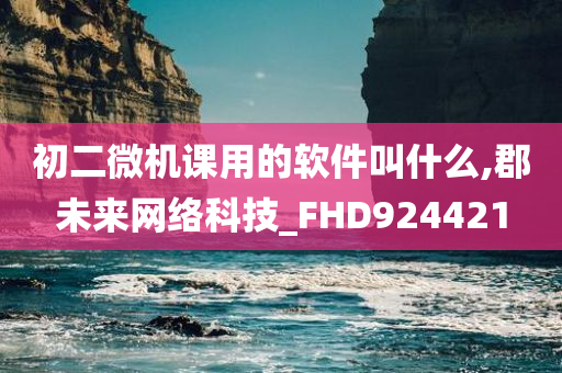 初二微机课用的软件叫什么,郡未来网络科技_FHD924421