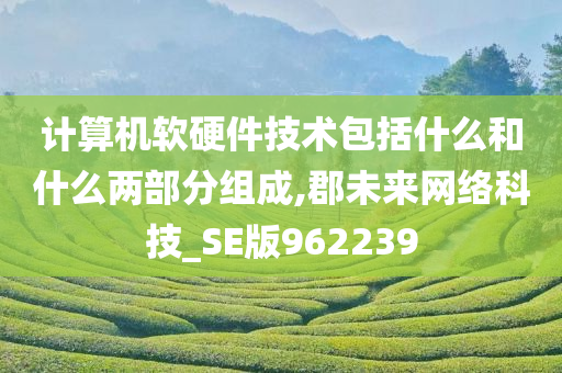 计算机软硬件技术包括什么和什么两部分组成,郡未来网络科技_SE版962239