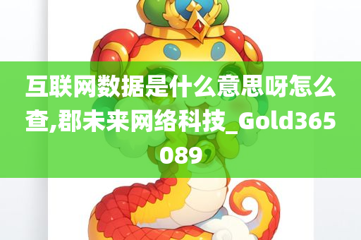 互联网数据是什么意思呀怎么查,郡未来网络科技_Gold365089