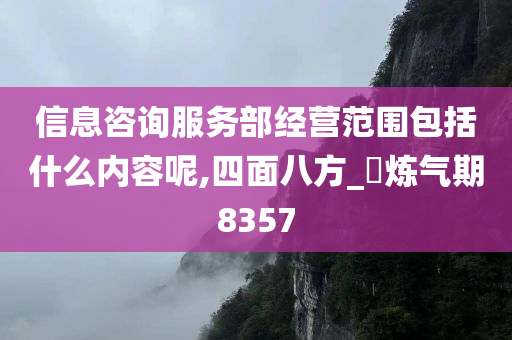 信息咨询服务部经营范围包括什么内容呢,四面八方_‌炼气期8357