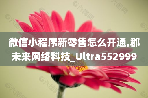 微信小程序新零售怎么开通,郡未来网络科技_Ultra552999