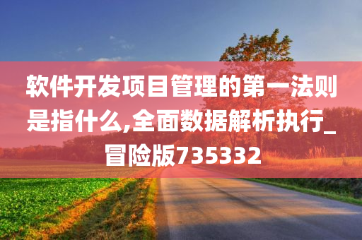 软件开发项目管理的第一法则是指什么,全面数据解析执行_冒险版735332