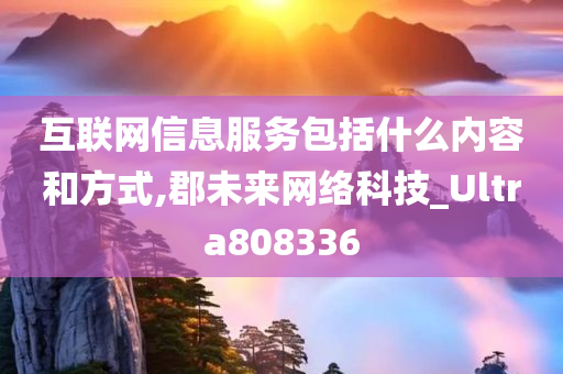 互联网信息服务包括什么内容和方式,郡未来网络科技_Ultra808336