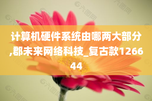 计算机硬件系统由哪两大部分,郡未来网络科技_复古款126644