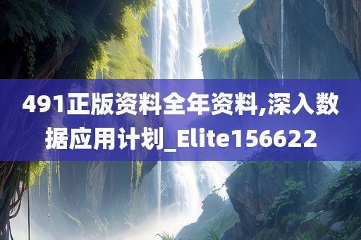 491正版资料全年资料,深入数据应用计划_Elite156622