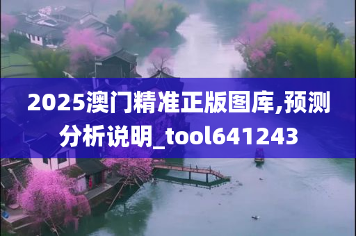 2025澳门精准正版图库,预测分析说明_tool641243