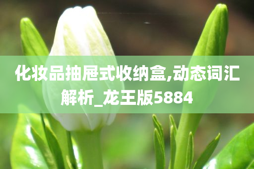 化妆品抽屉式收纳盒,动态词汇解析_龙王版5884