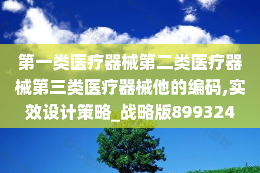 第一类医疗器械第二类医疗器械第三类医疗器械他的编码,实效设计策略_战略版899324