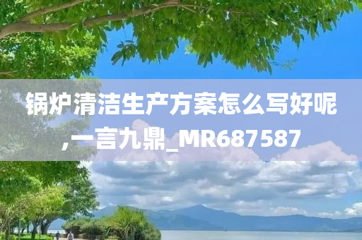 锅炉清洁生产方案怎么写好呢,一言九鼎_MR687587