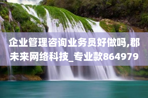 企业管理咨询业务员好做吗,郡未来网络科技_专业款864979