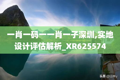 一肖一码一一肖一子深圳,实地设计评估解析_XR625574