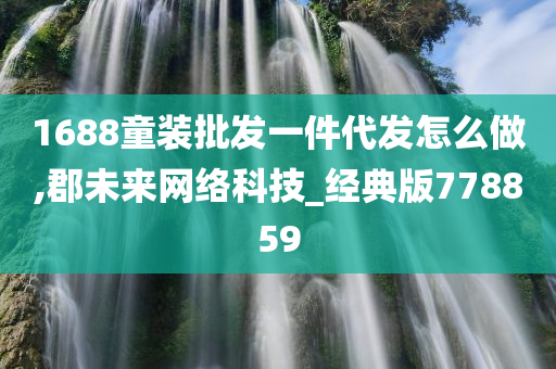 1688童装批发一件代发怎么做,郡未来网络科技_经典版778859