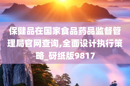 保健品在国家食品药品监督管理局官网查询,全面设计执行策略_砑纸版9817