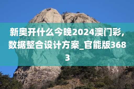 新奥开什么今晚2024澳门彩,数据整合设计方案_官能版3683