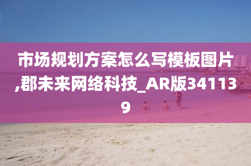 市场规划方案怎么写模板图片,郡未来网络科技_AR版341139