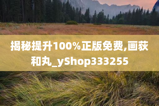 揭秘提升100%正版免费,画荻和丸_yShop333255