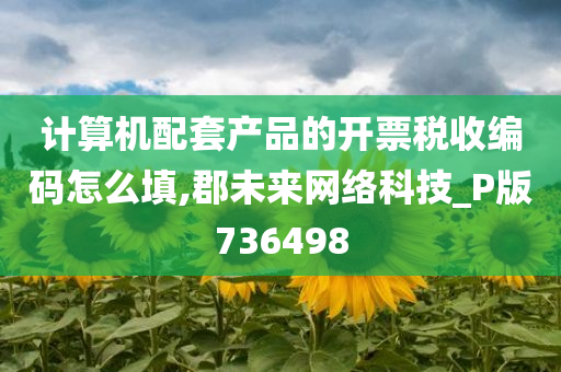 计算机配套产品的开票税收编码怎么填,郡未来网络科技_P版736498