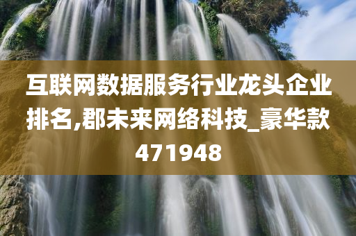 互联网数据服务行业龙头企业排名,郡未来网络科技_豪华款471948