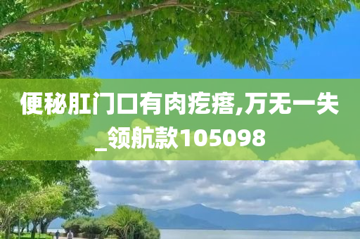 便秘肛门口有肉疙瘩,万无一失_领航款105098