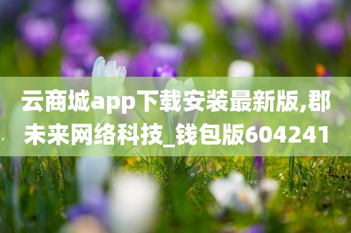 云商城app下载安装最新版,郡未来网络科技_钱包版604241