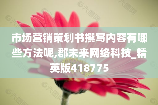 市场营销策划书撰写内容有哪些方法呢,郡未来网络科技_精英版418775