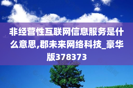 非经营性互联网信息服务是什么意思,郡未来网络科技_豪华版378373