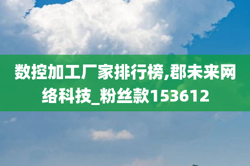 数控加工厂家排行榜,郡未来网络科技_粉丝款153612