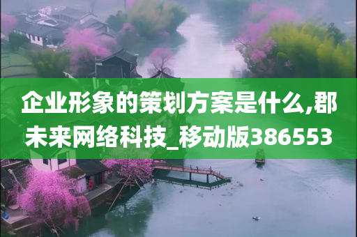 企业形象的策划方案是什么,郡未来网络科技_移动版386553