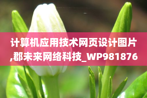 计算机应用技术网页设计图片,郡未来网络科技_WP981876