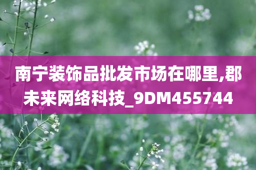 南宁装饰品批发市场在哪里,郡未来网络科技_9DM455744