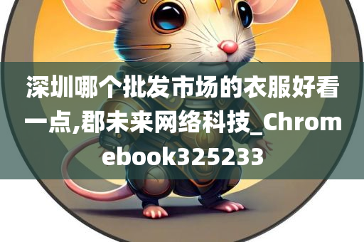 深圳哪个批发市场的衣服好看一点,郡未来网络科技_Chromebook325233