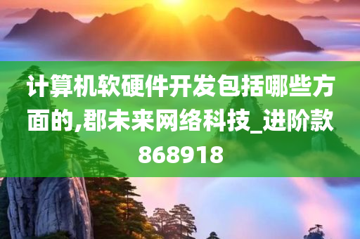 计算机软硬件开发包括哪些方面的,郡未来网络科技_进阶款868918