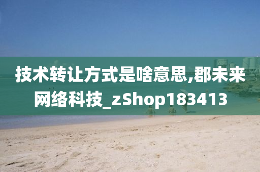 技术转让方式是啥意思,郡未来网络科技_zShop183413