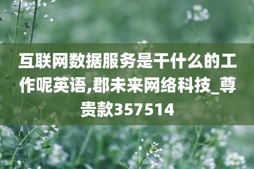 互联网数据服务是干什么的工作呢英语,郡未来网络科技_尊贵款357514