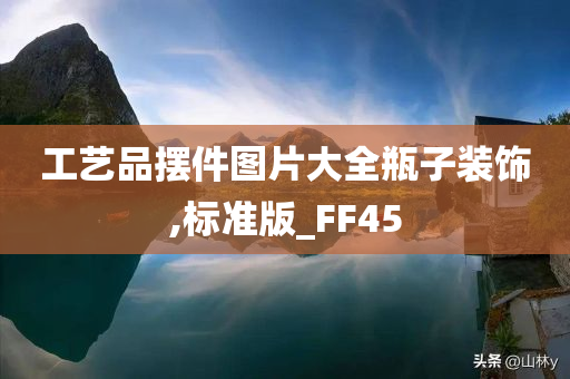 工艺品摆件图片大全瓶子装饰,标准版_FF45