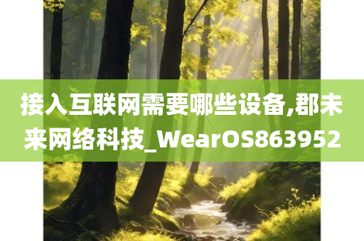 接入互联网需要哪些设备,郡未来网络科技_WearOS863952