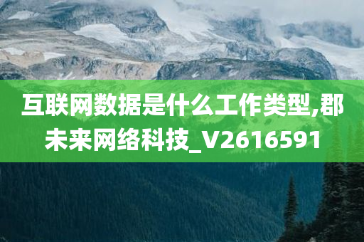 互联网数据是什么工作类型,郡未来网络科技_V2616591