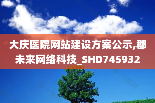 大庆医院网站建设方案公示,郡未来网络科技_SHD745932