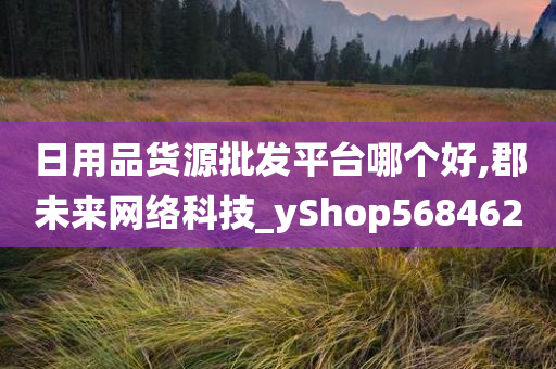 日用品货源批发平台哪个好,郡未来网络科技_yShop568462