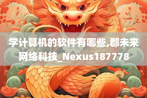 学计算机的软件有哪些,郡未来网络科技_Nexus187778