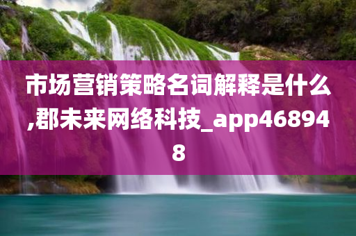 市场营销策略名词解释是什么,郡未来网络科技_app468948