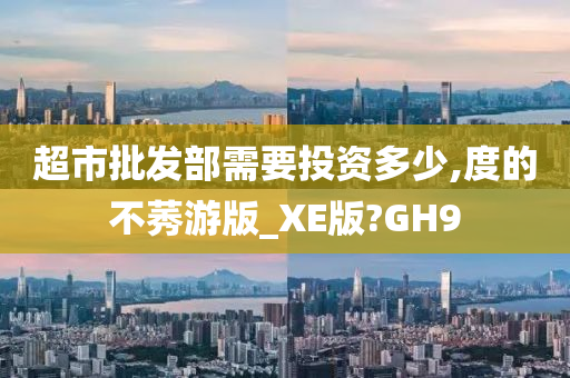 超市批发部需要投资多少,度的不莠游版_XE版?GH9