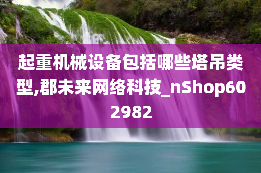 起重机械设备包括哪些塔吊类型,郡未来网络科技_nShop602982