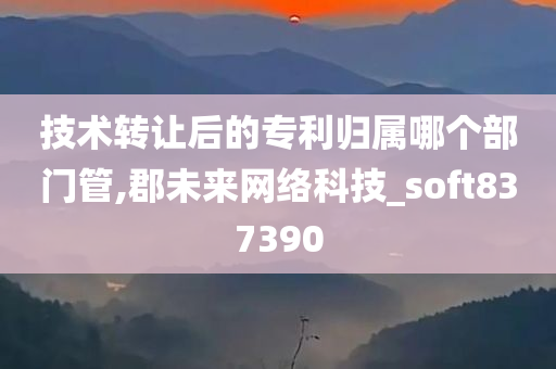 技术转让后的专利归属哪个部门管,郡未来网络科技_soft837390