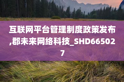 互联网平台管理制度政策发布,郡未来网络科技_SHD665027